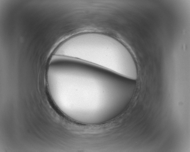 X0000082940011200702011124