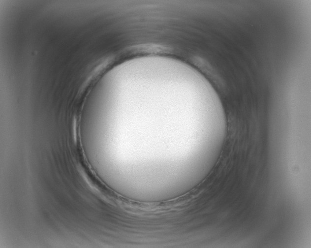 X0000082940014200702011124