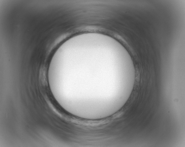 X0000082940016200702011124