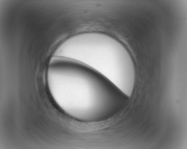 X0000082940019200702011124