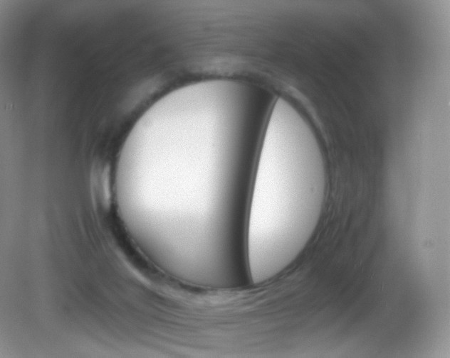 X0000082940020200702011124