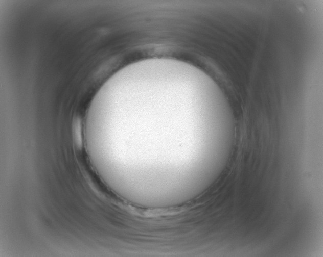 X0000082940022200702011124