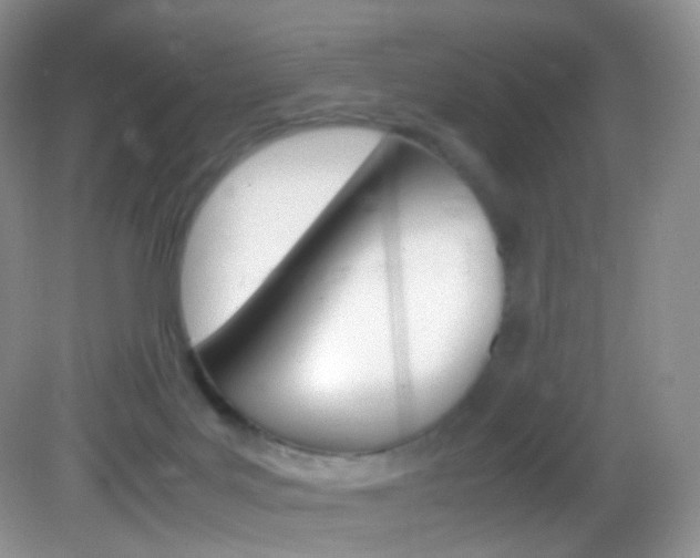 X0000082940027200702011123