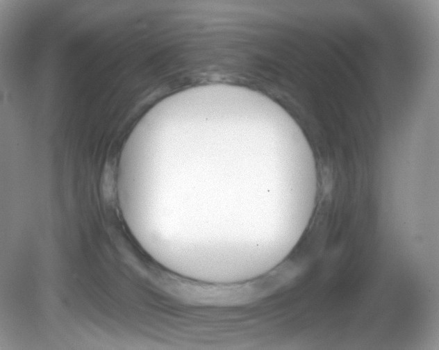 X0000082940036200702011123