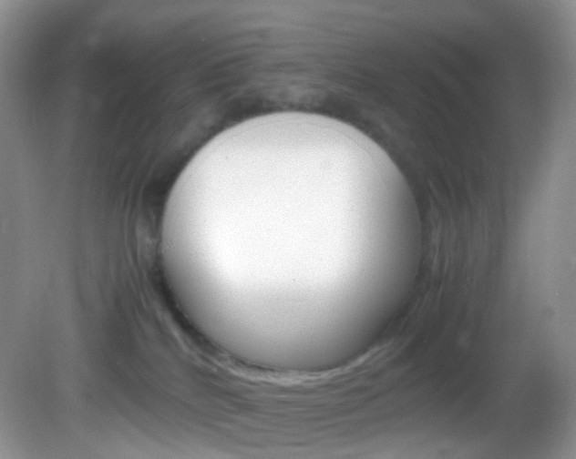 X0000082940040200702011123