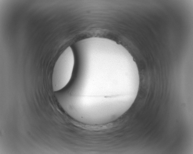 X0000082940042200702011123
