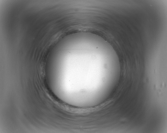 X0000082940044200702011123