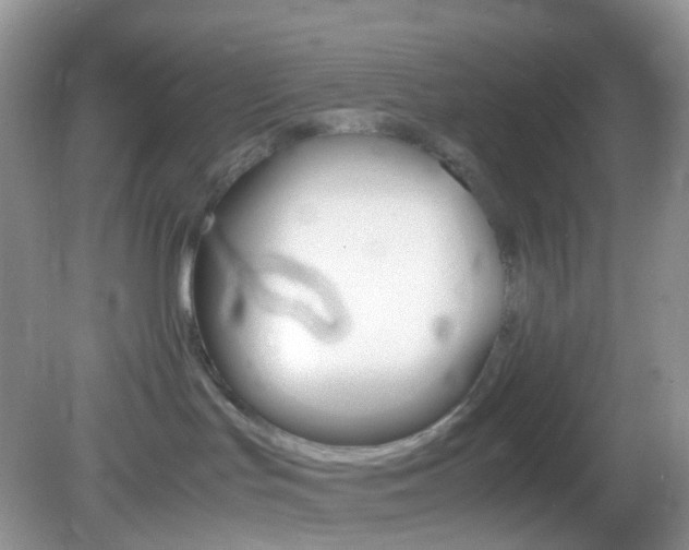 X0000082940047200702011123