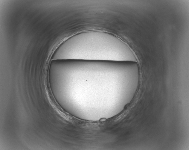 X0000082940049200702011122