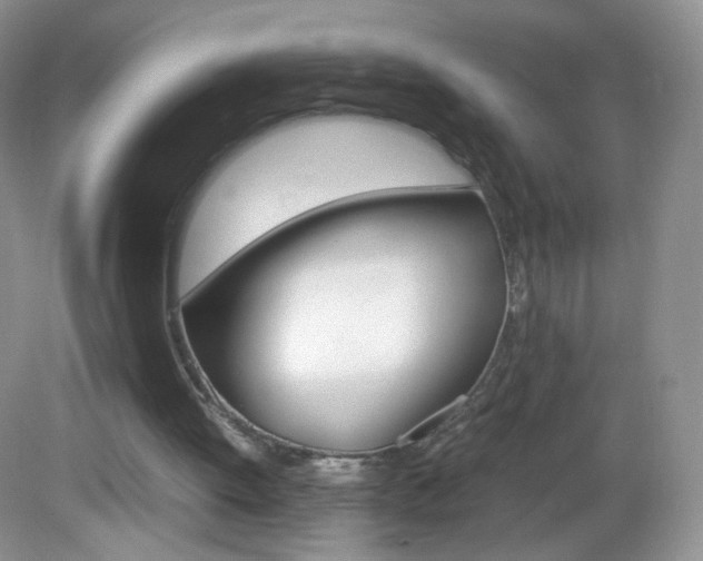 X0000082940052200702011122