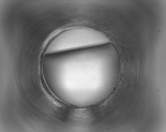 X0000082940054200702011122