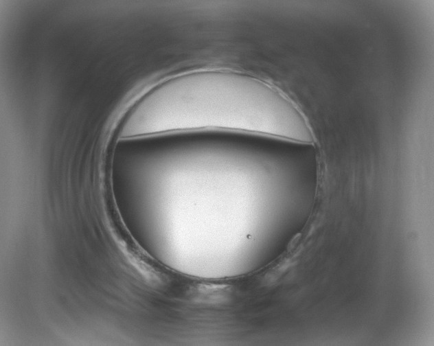 X0000082940055200702011122