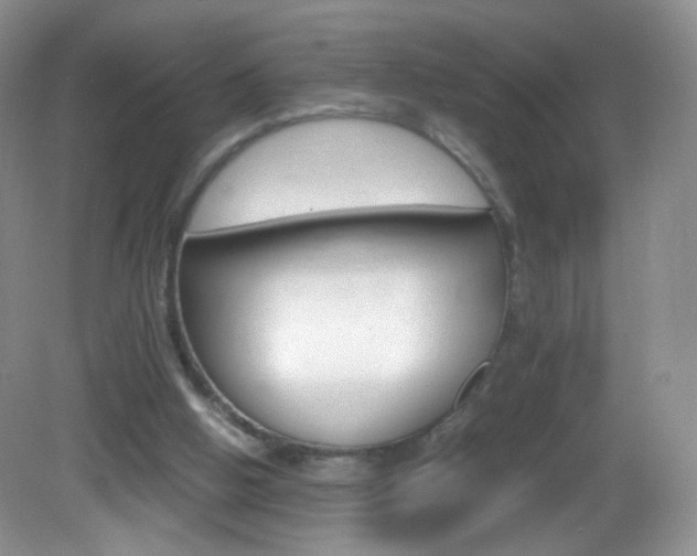 X0000082940058200702011122
