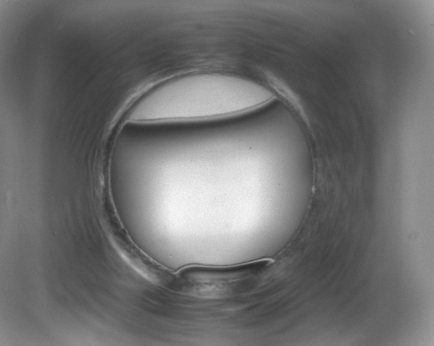 X0000082940059200702011122
