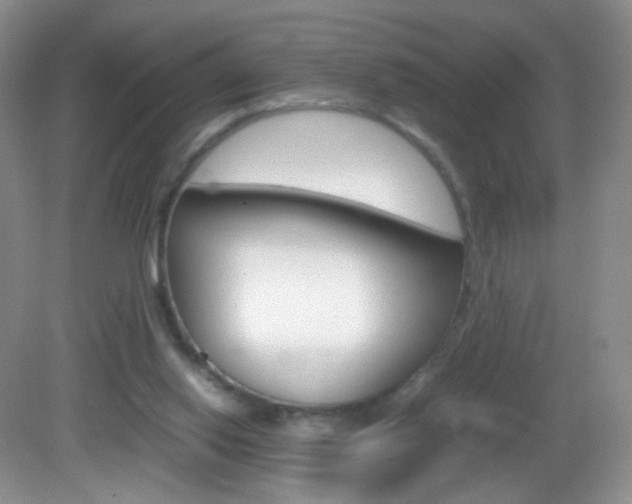 X0000082940062200702011122