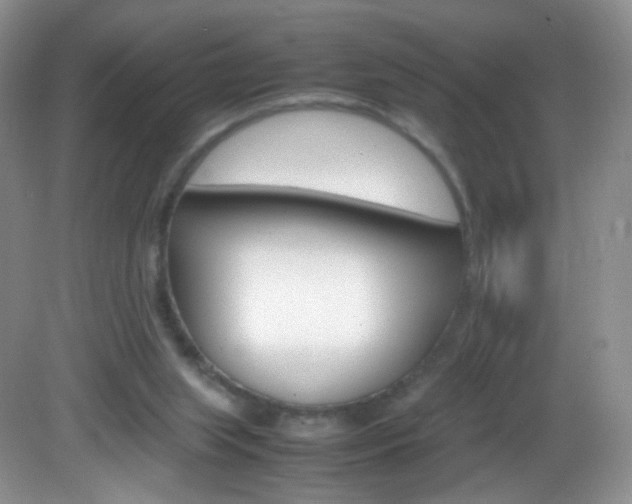 X0000082940063200702011123