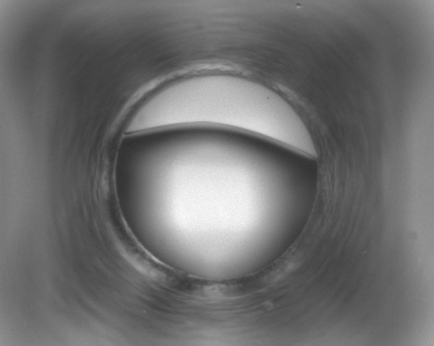 X0000082940064200702011123