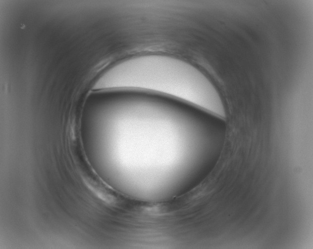 X0000082940068200702011123