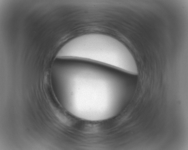 X0000082940071200702011123