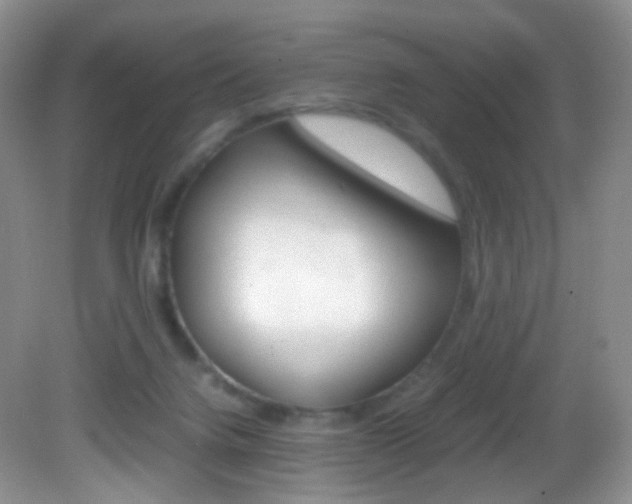 X0000082940072200702011123