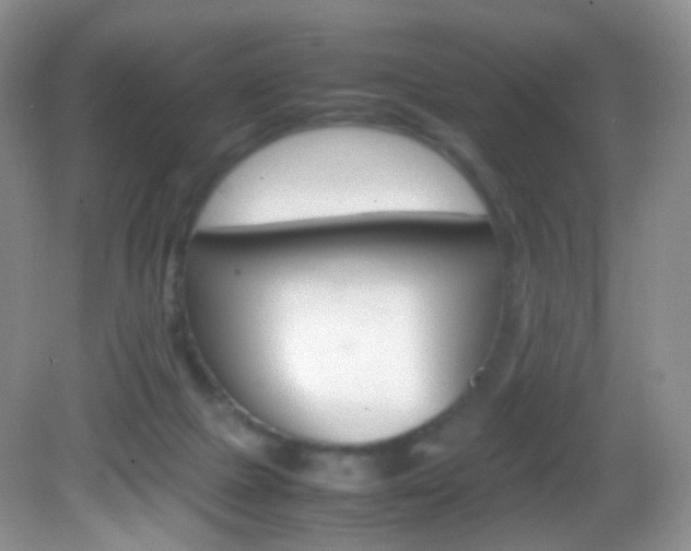 X0000082940073200702011123