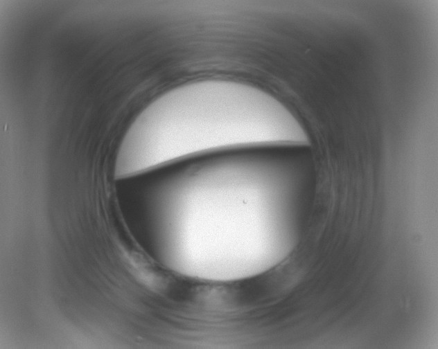 X0000082940074200702011123
