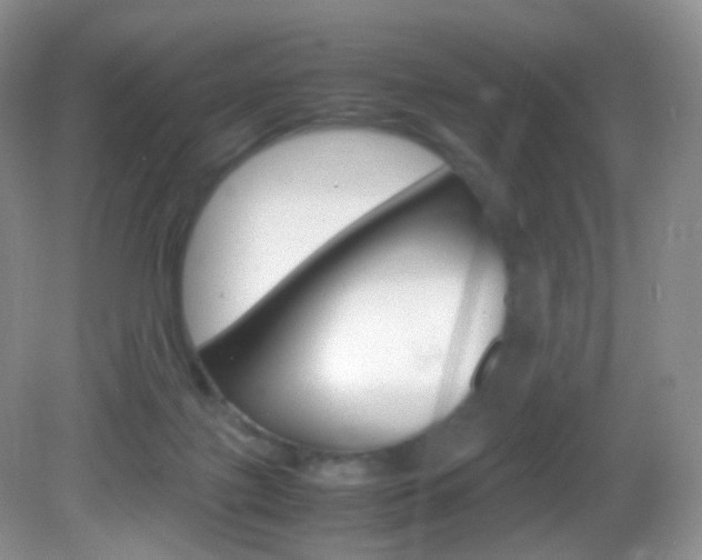 X0000082940075200702011123