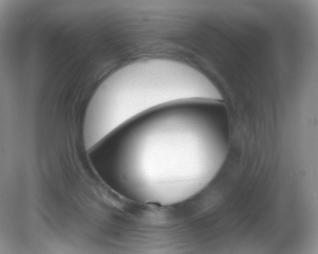 X0000082940076200702011123