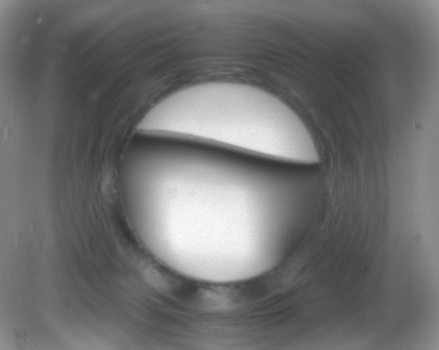 X0000082940079200702011123