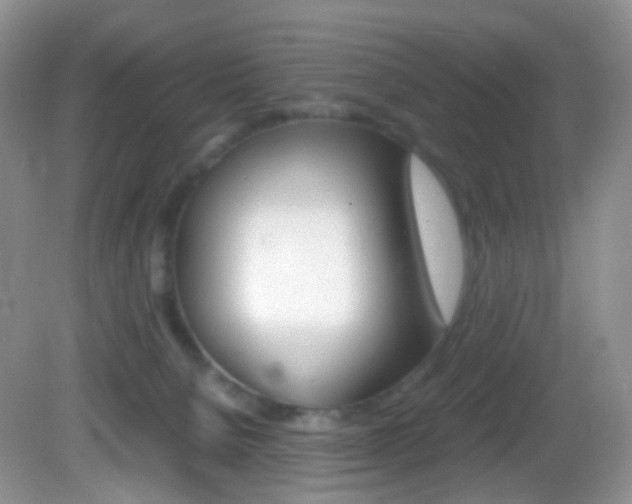 X0000082940080200702011123