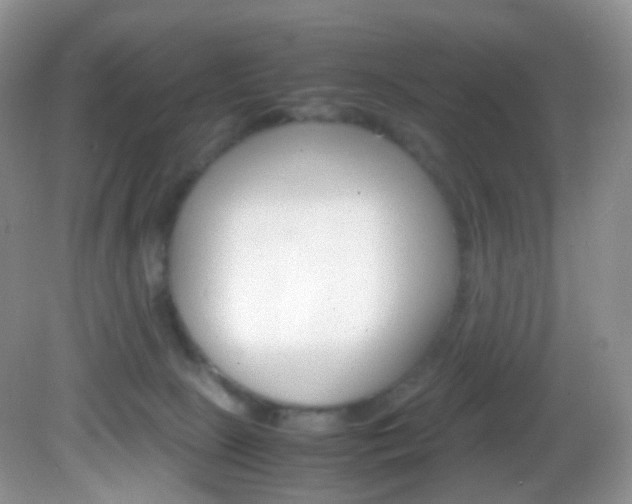 X0000082940081200702011123