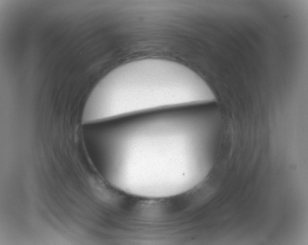 X0000082940082200702011123