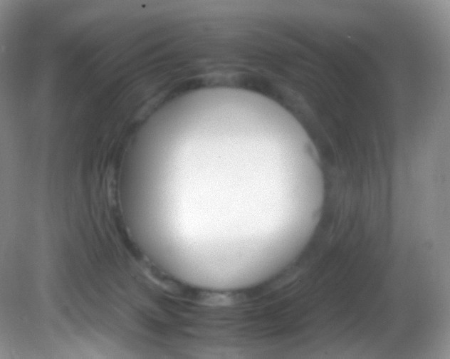 X0000082940083200702011123