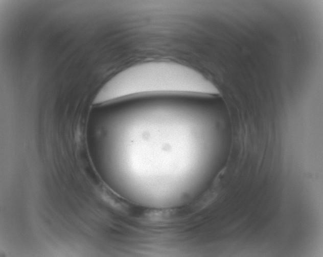 X0000082940084200702011123