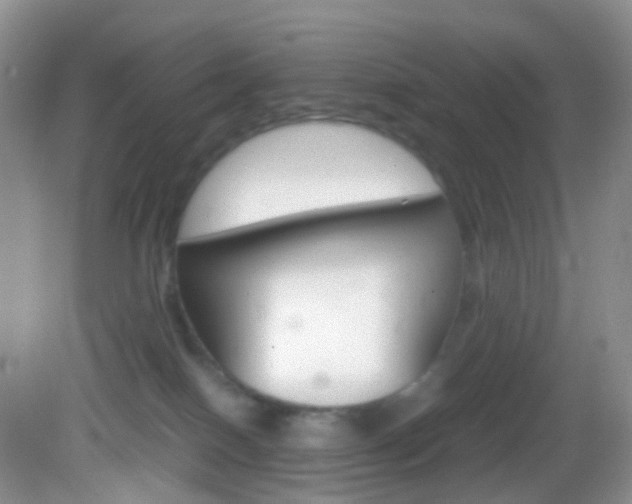 X0000082940086200702011123