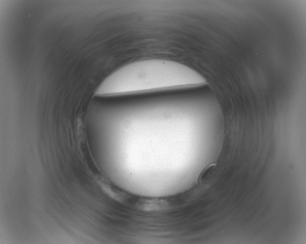 X0000082940087200702011123