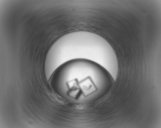 X0000082940088200702011123