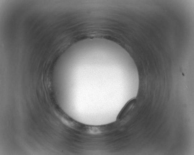 X0000082940091200702011123