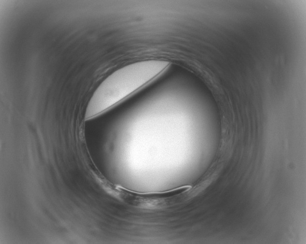 X0000082940096200702011123