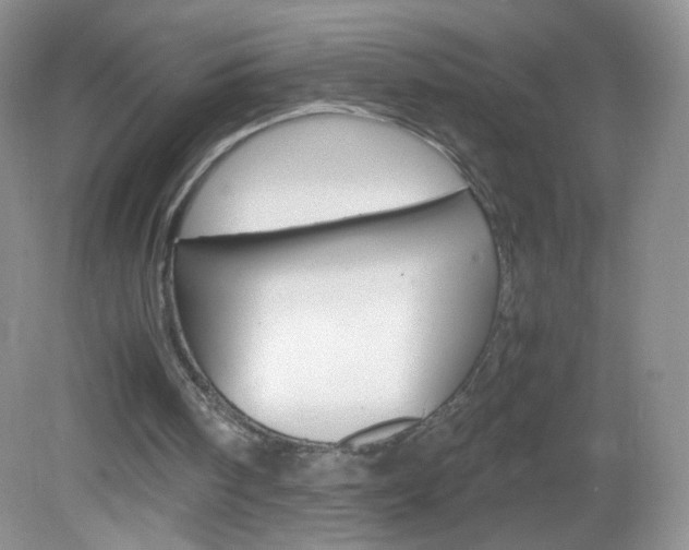 X0000082940098200702011122