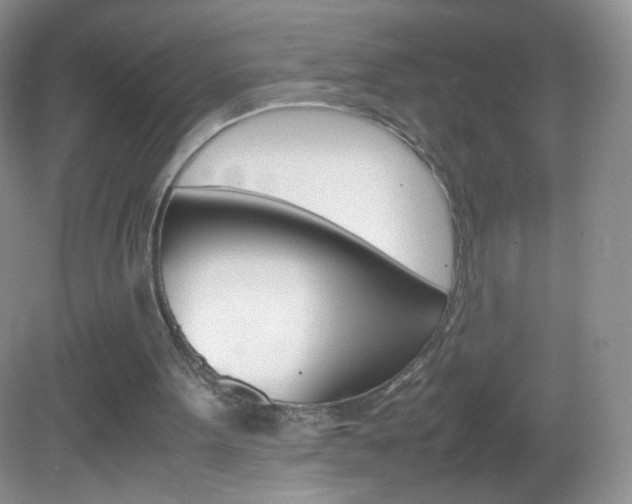 X0000082940099200702011122