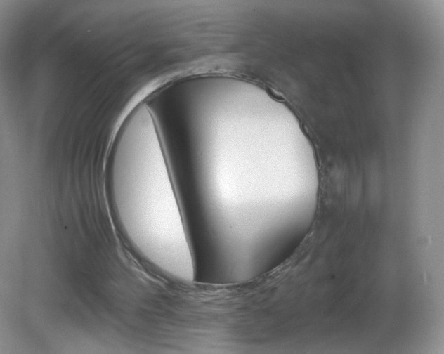 X0000082940100200702011122