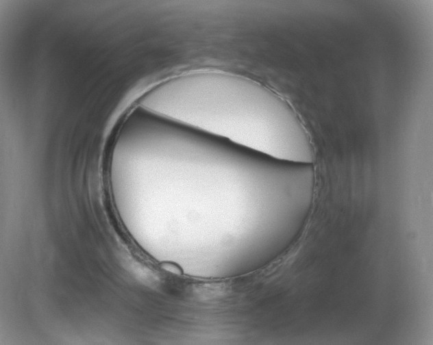 X0000082940102200702011122