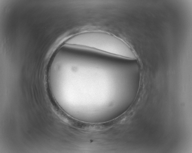 X0000082940103200702011122