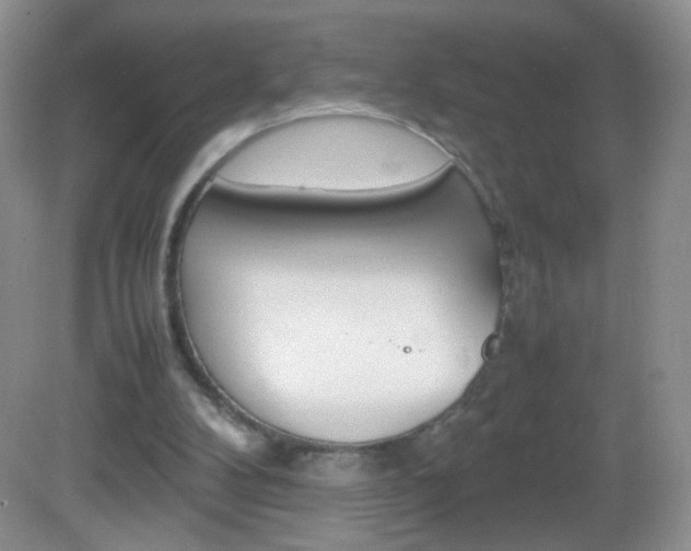 X0000082940104200702011122