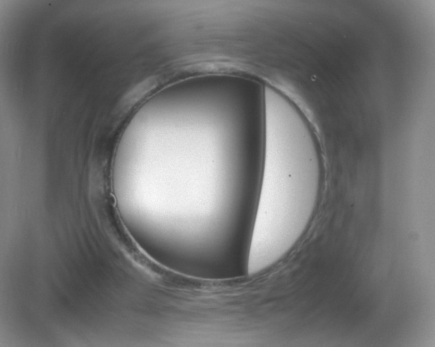 X0000082940105200702011122