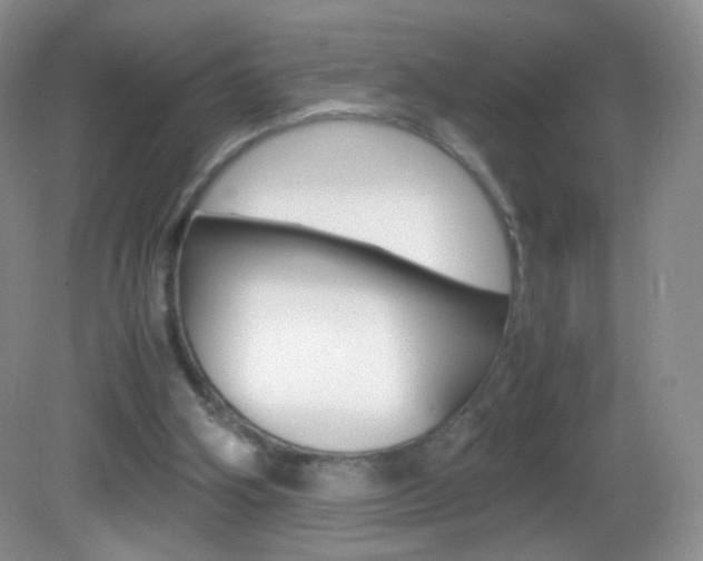 X0000082940106200702011122