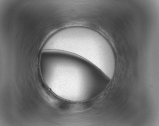 X0000082940107200702011122