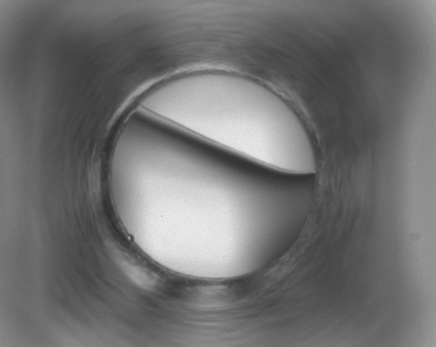 X0000082940108200702011122