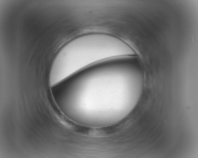 X0000082940109200702011122
